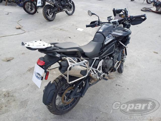2024 TRIUMPH TIGER 