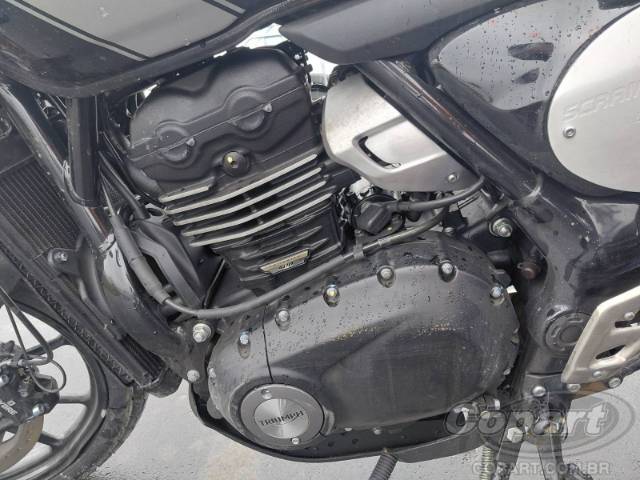 2026 TRIUMPH SCRAMBLER 