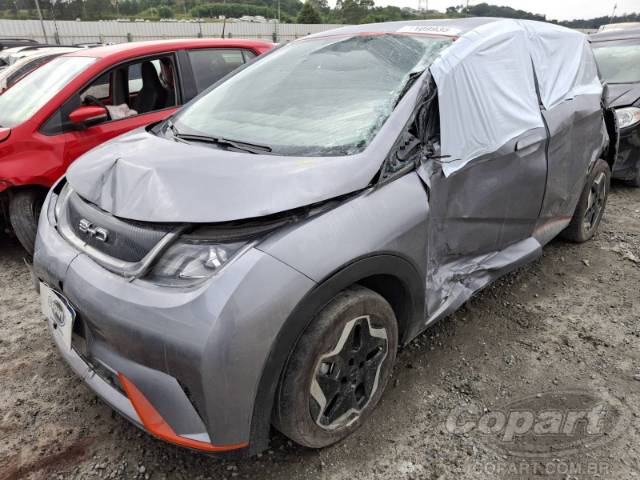 2024 BYD DOLPHIN 