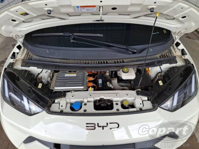 2025 BYD DOLPHIN MINI 