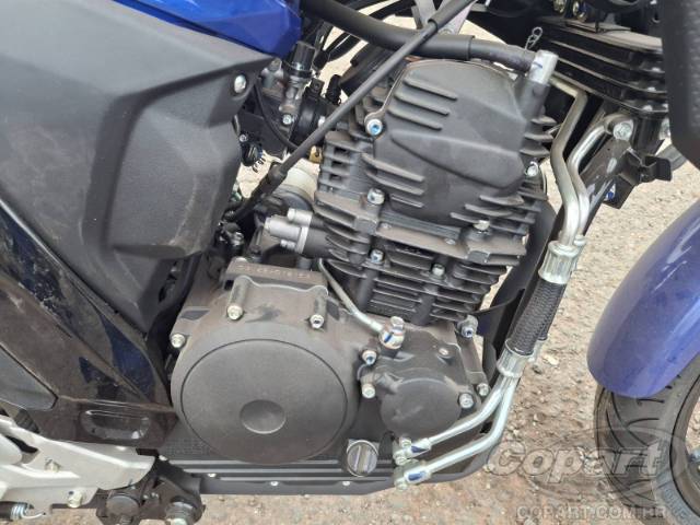 2025 YAMAHA FZ25 FAZER 