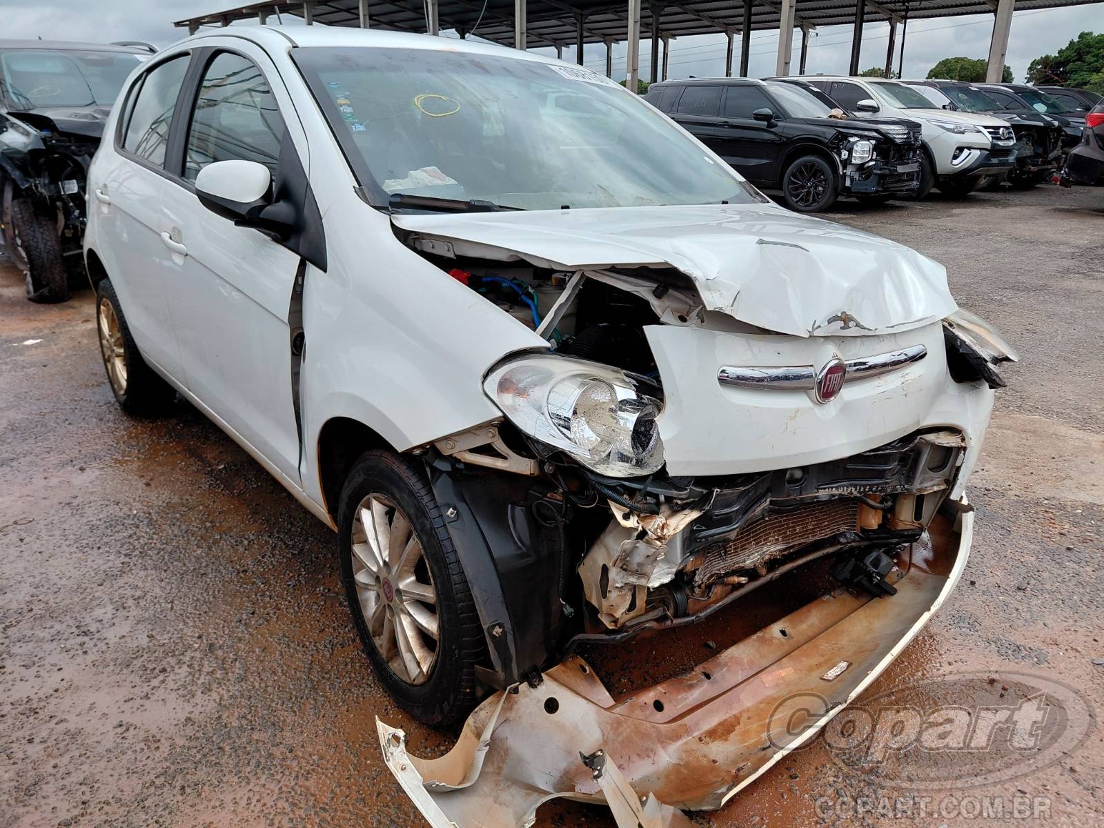 FIAT PALIO