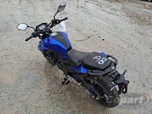 2025 YAMAHA FZ25 FAZER 