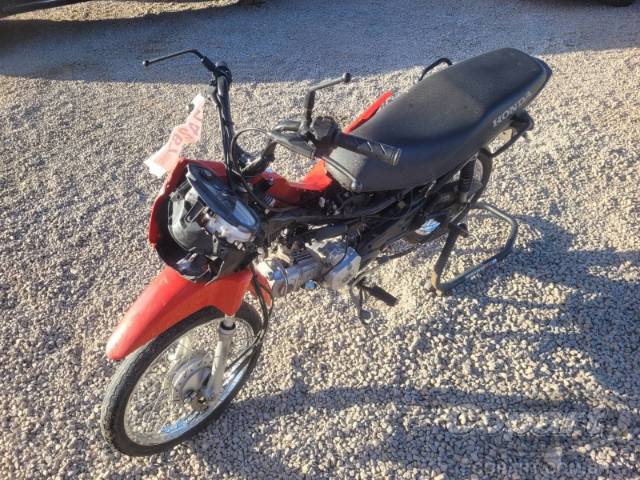 2023 HONDA POP 