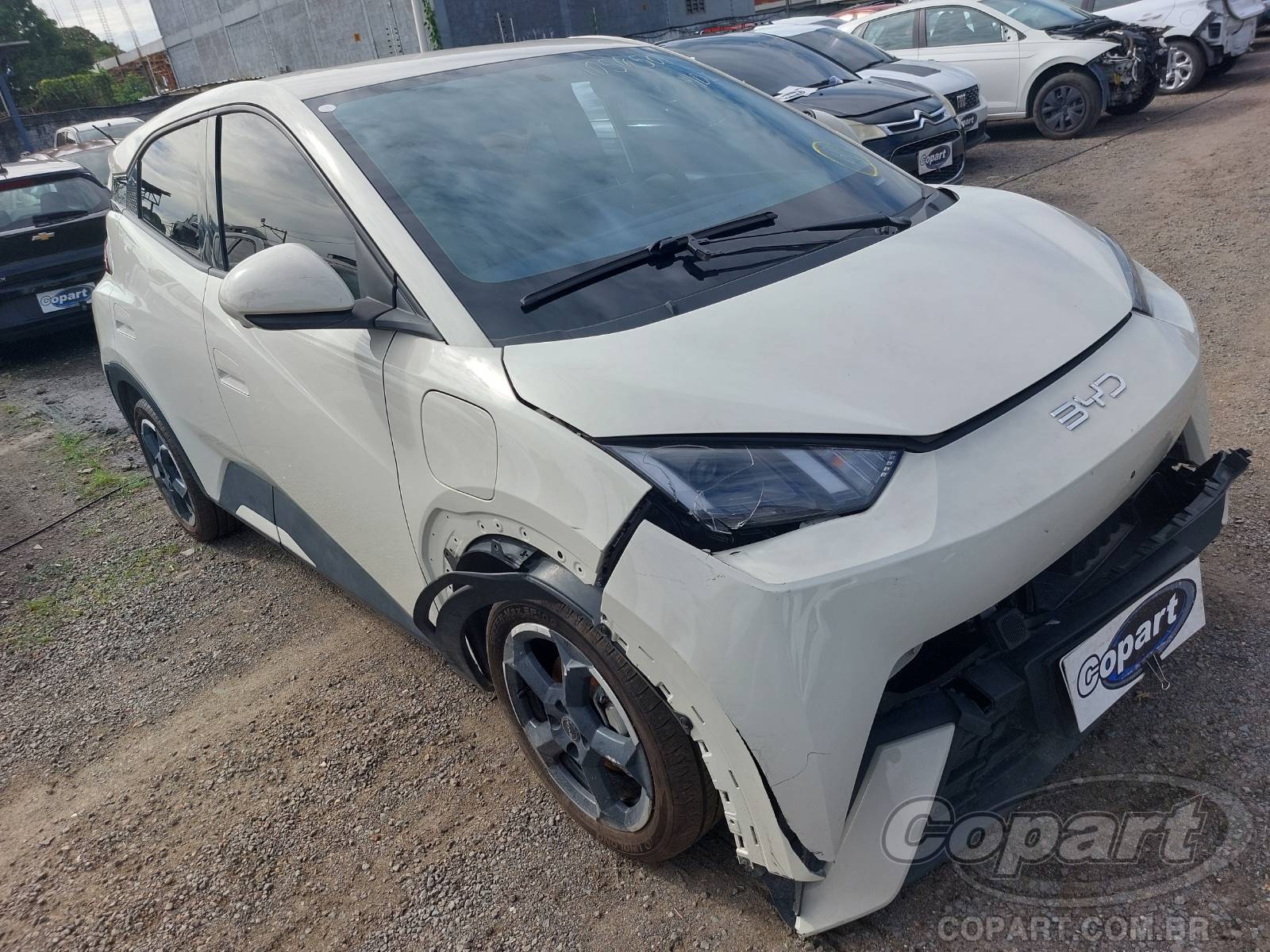 BYD Dolphin Mini EV GS5 55 kW 2025