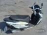 2025 HONDA ELITE 