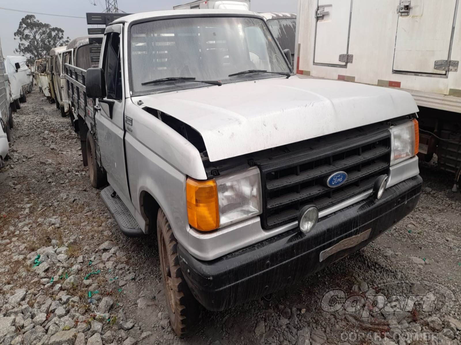 Veículo FORD F-1000 FORD F-1000 1995 1995 em leilão