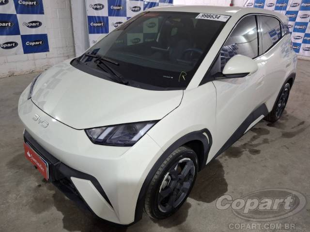 2025 BYD DOLPHIN MINI 