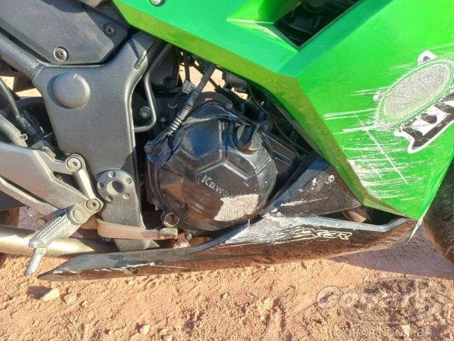 2024 KAWASAKI NINJA 300 