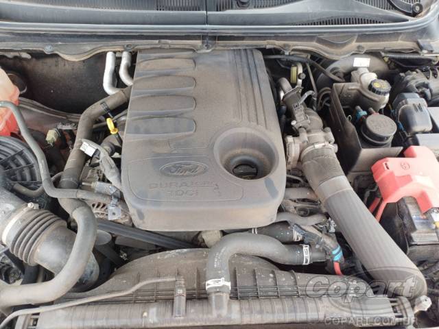 2019 FORD RANGER CD 