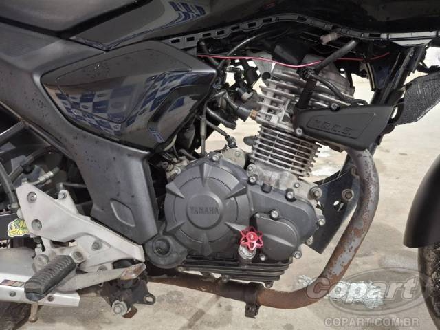 2024 YAMAHA FZ15 