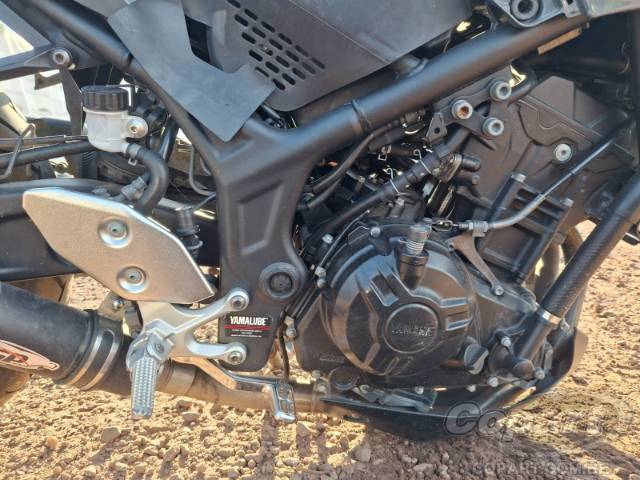 2024 YAMAHA MT-03 