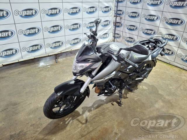 2024 BAJAJ DOMINAR 