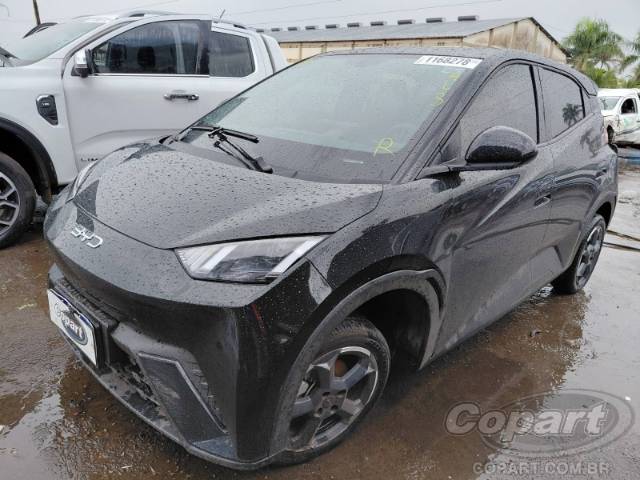 2025 BYD DOLPHIN MINI 