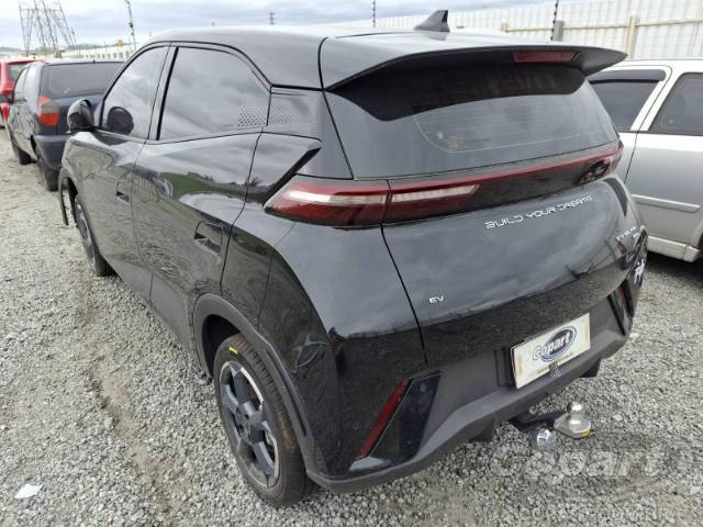 2025 BYD DOLPHIN MINI 