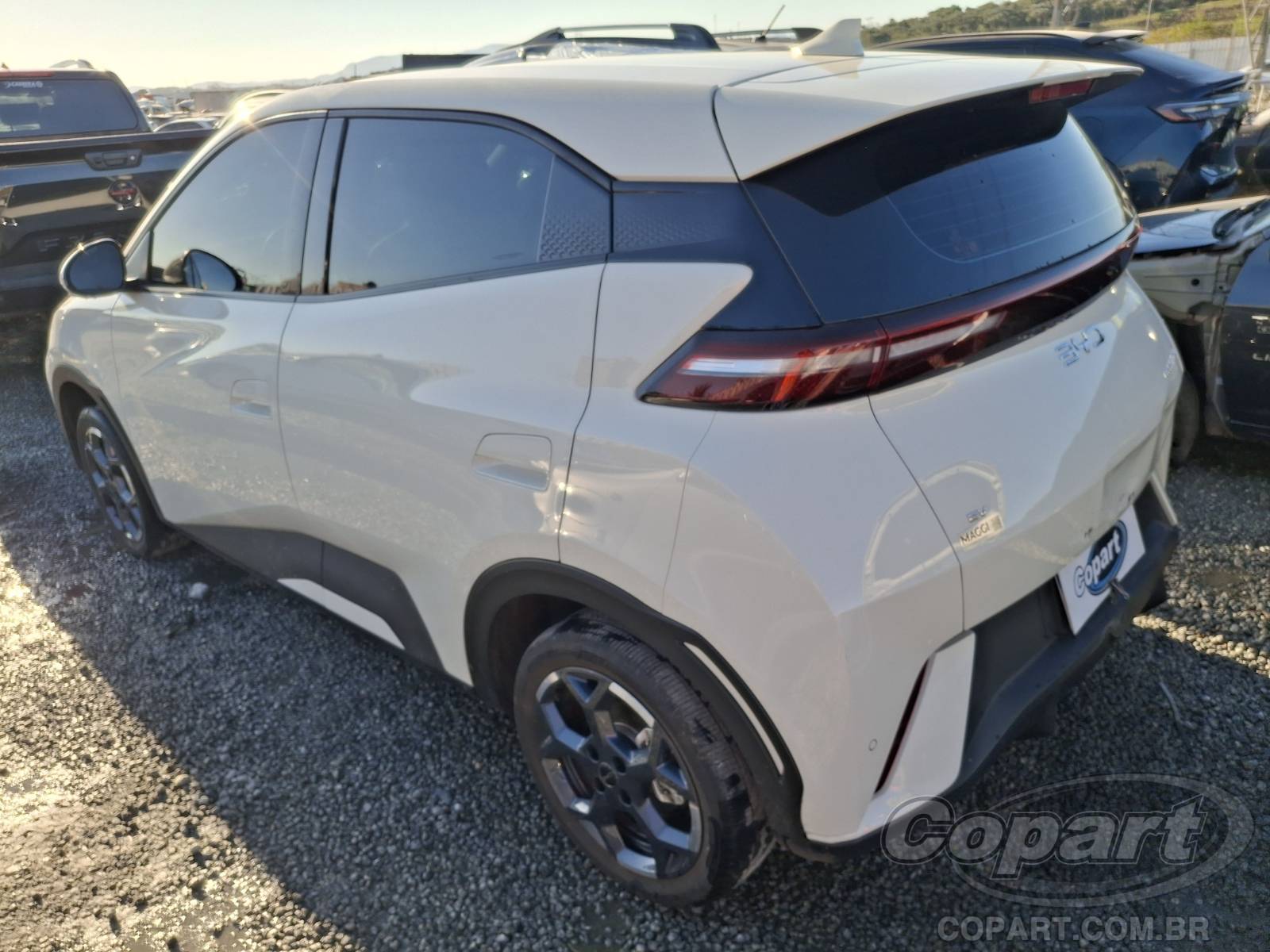 2027 BYD DOLPHIN MINI — foto 3 de 10