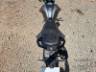 2025 YAMAHA FZ25 FAZER 