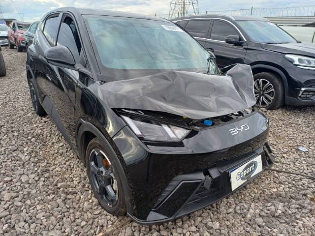 2025 BYD DOLPHIN MINI 