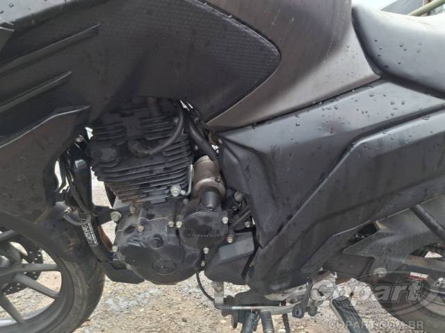 2024 YAMAHA FZ25 FAZER 