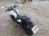 2026 YAMAHA FZ25 FAZER 