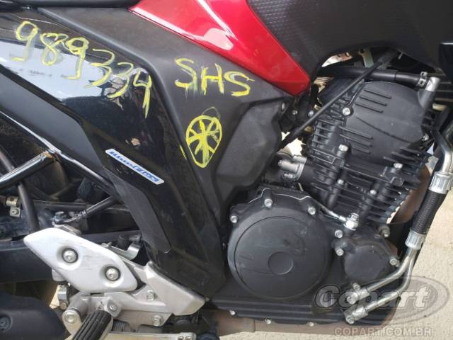 2024 YAMAHA FZ25 FAZER 