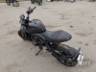 2025 TRIUMPH TRIDENT 