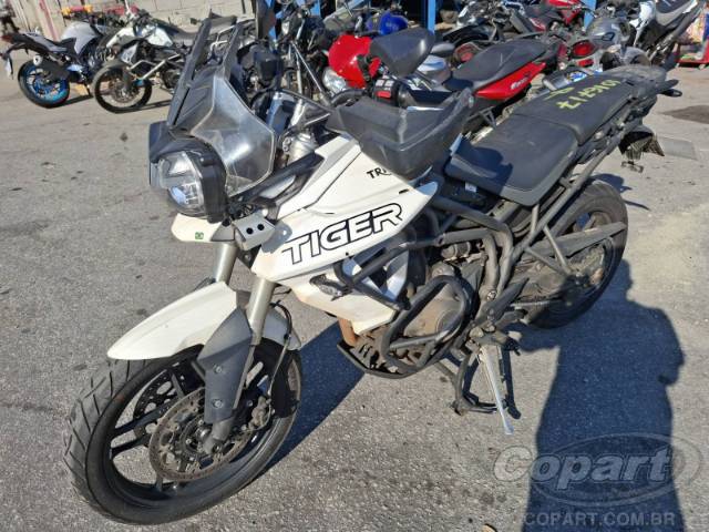 2019 TRIUMPH TIGER 