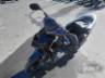 2024 HONDA ELITE 