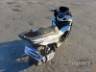 2025 HONDA PCX 