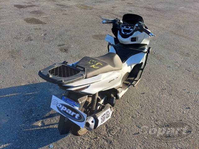 2025 HONDA PCX 