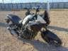2026 HONDA NX 500 