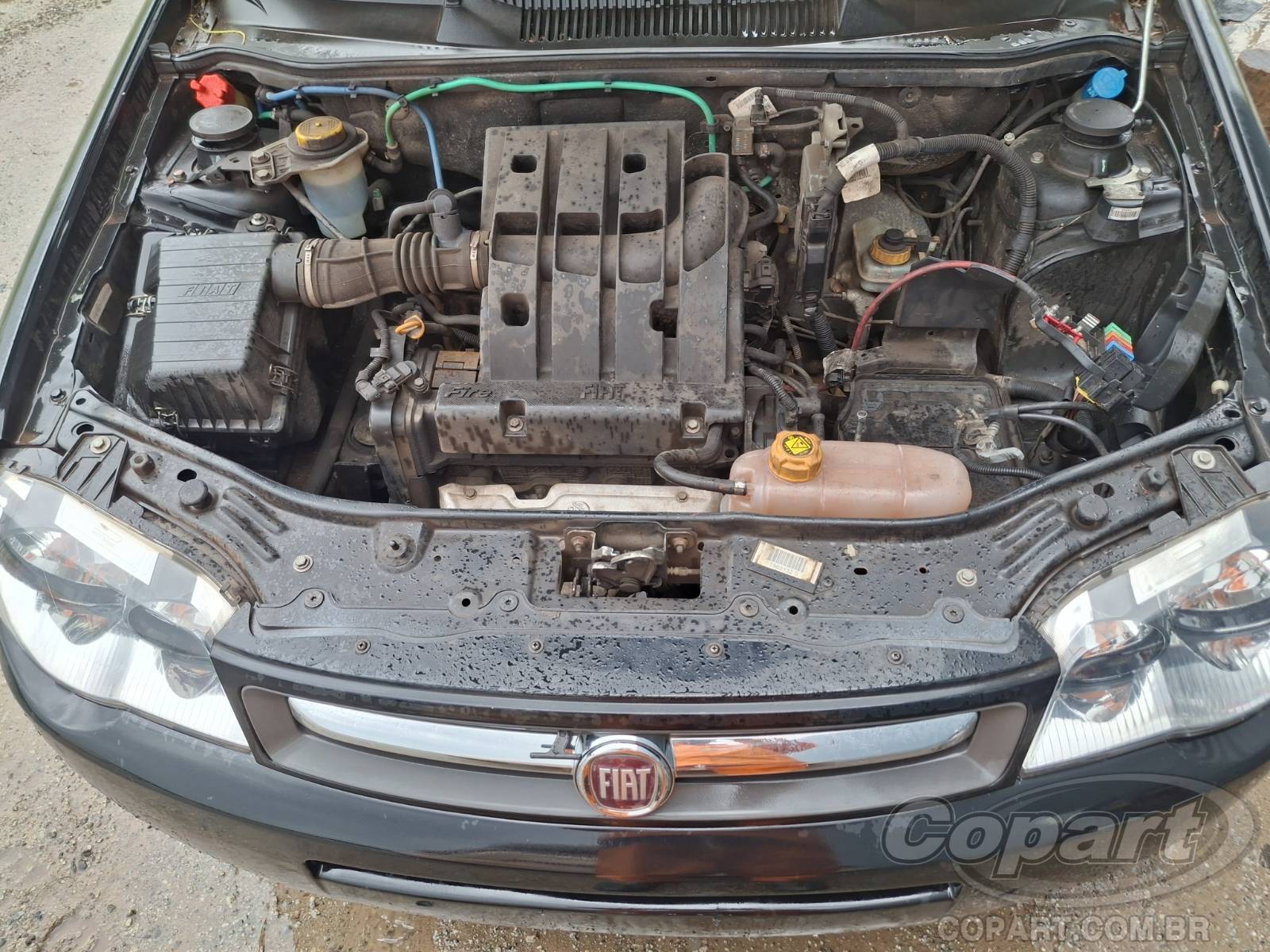 Foto 7 de 11: 2011 FIAT PALIO