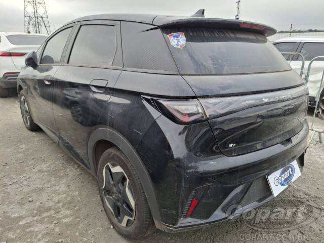 2024 BYD DOLPHIN 