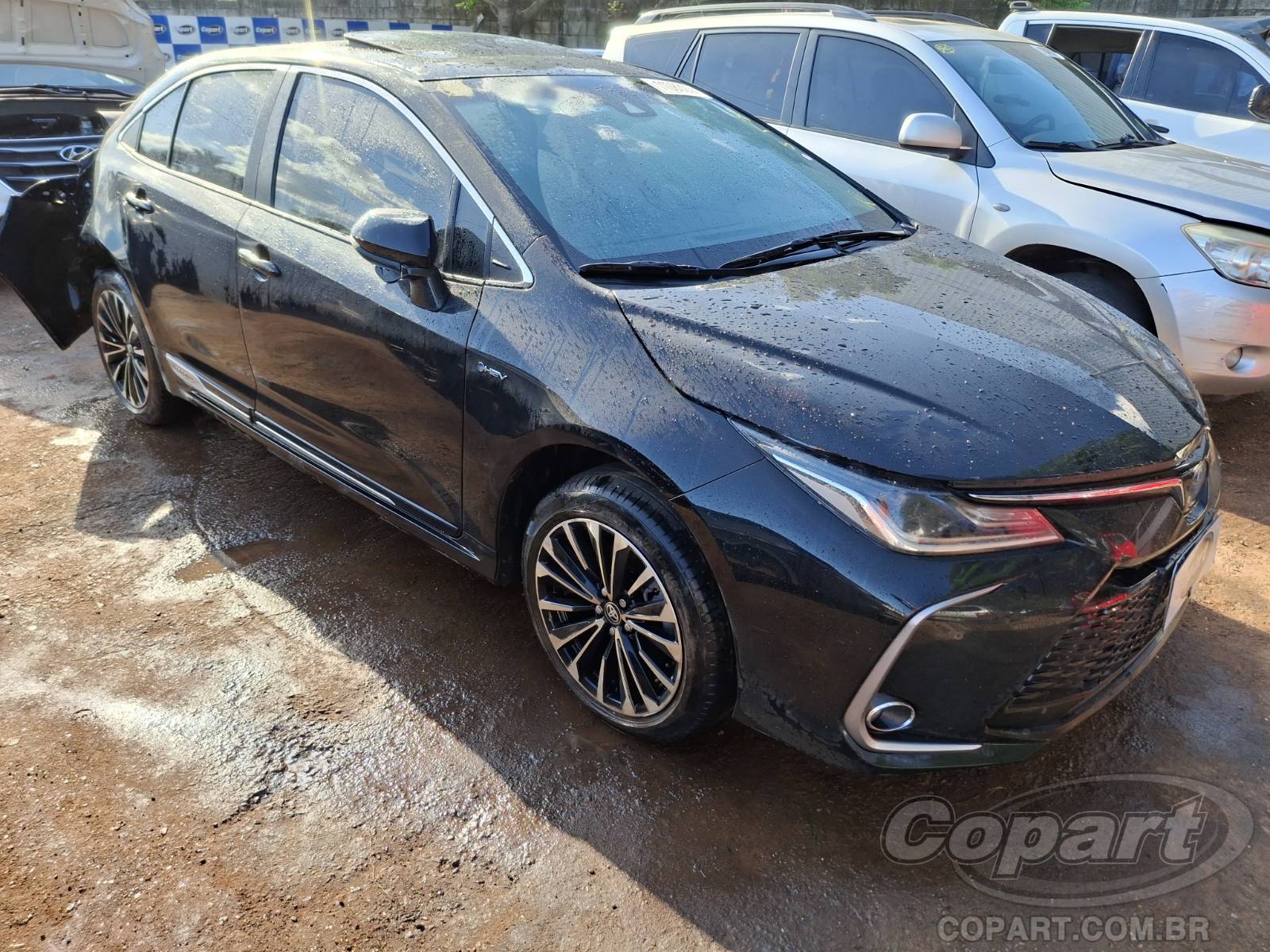 TOYOTA COROLLA 2026