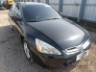 2005 HONDA ACCORD 