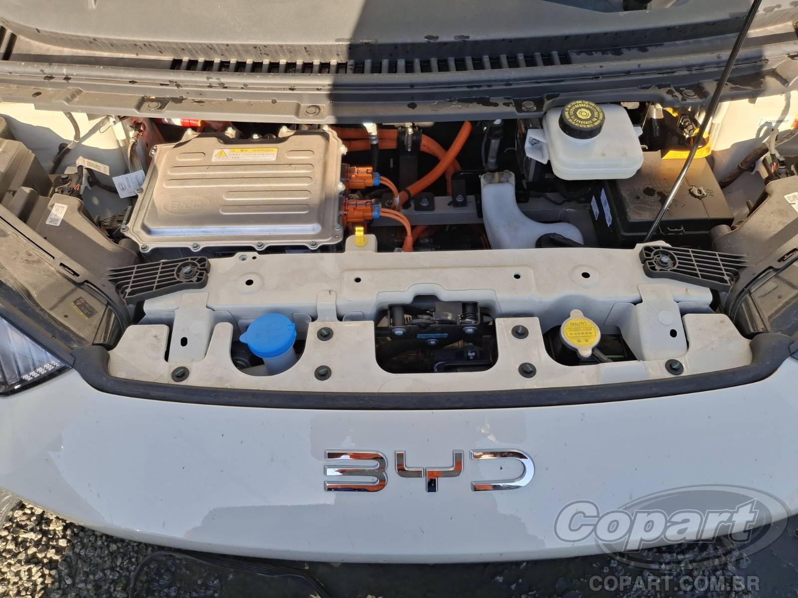 2027 BYD DOLPHIN MINI — foto 7 de 10