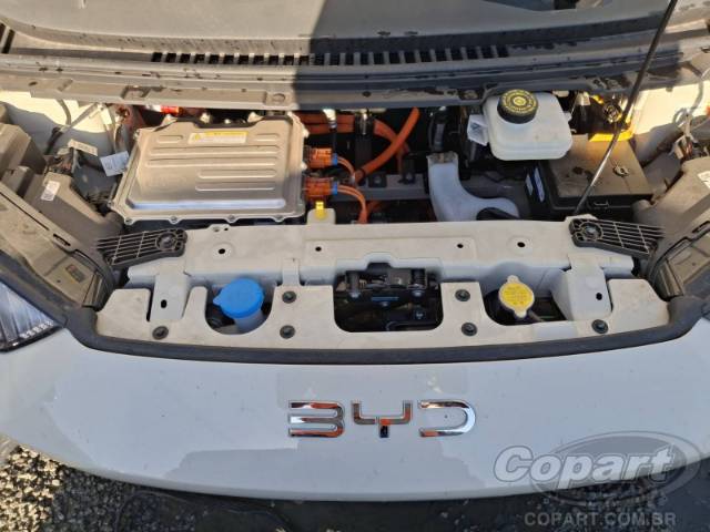 2027 BYD DOLPHIN MINI 