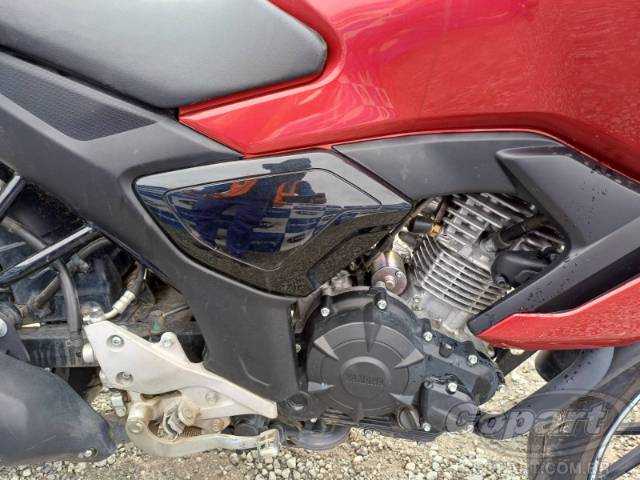 2024 YAMAHA FZ15 