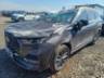 2026 CAOA CHERY TIGGO 8 