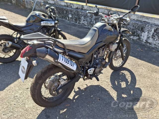 2010 YAMAHA XT 660 