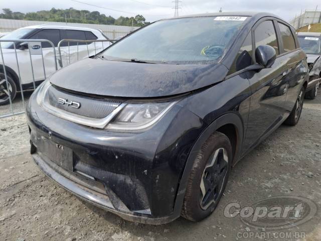 2024 BYD DOLPHIN 