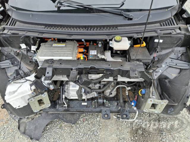 2025 BYD DOLPHIN MINI 