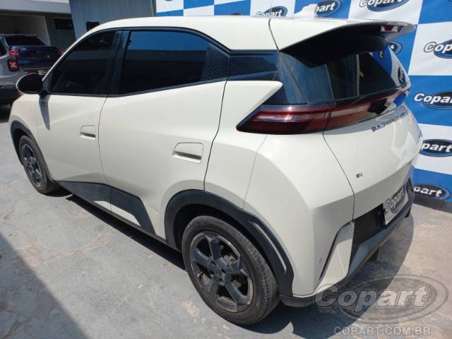 2025 BYD DOLPHIN MINI 