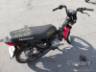 2025 HONDA POP 