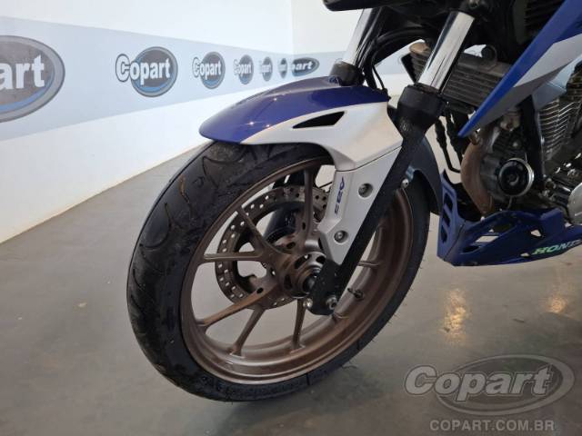 2023 HONDA CB 300F 