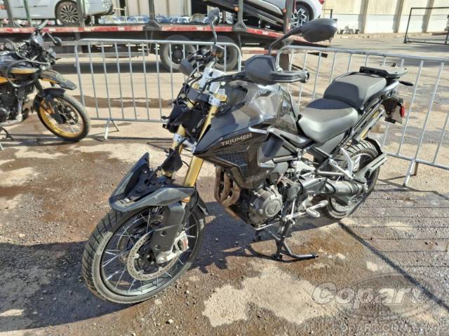 2024 TRIUMPH TIGER 