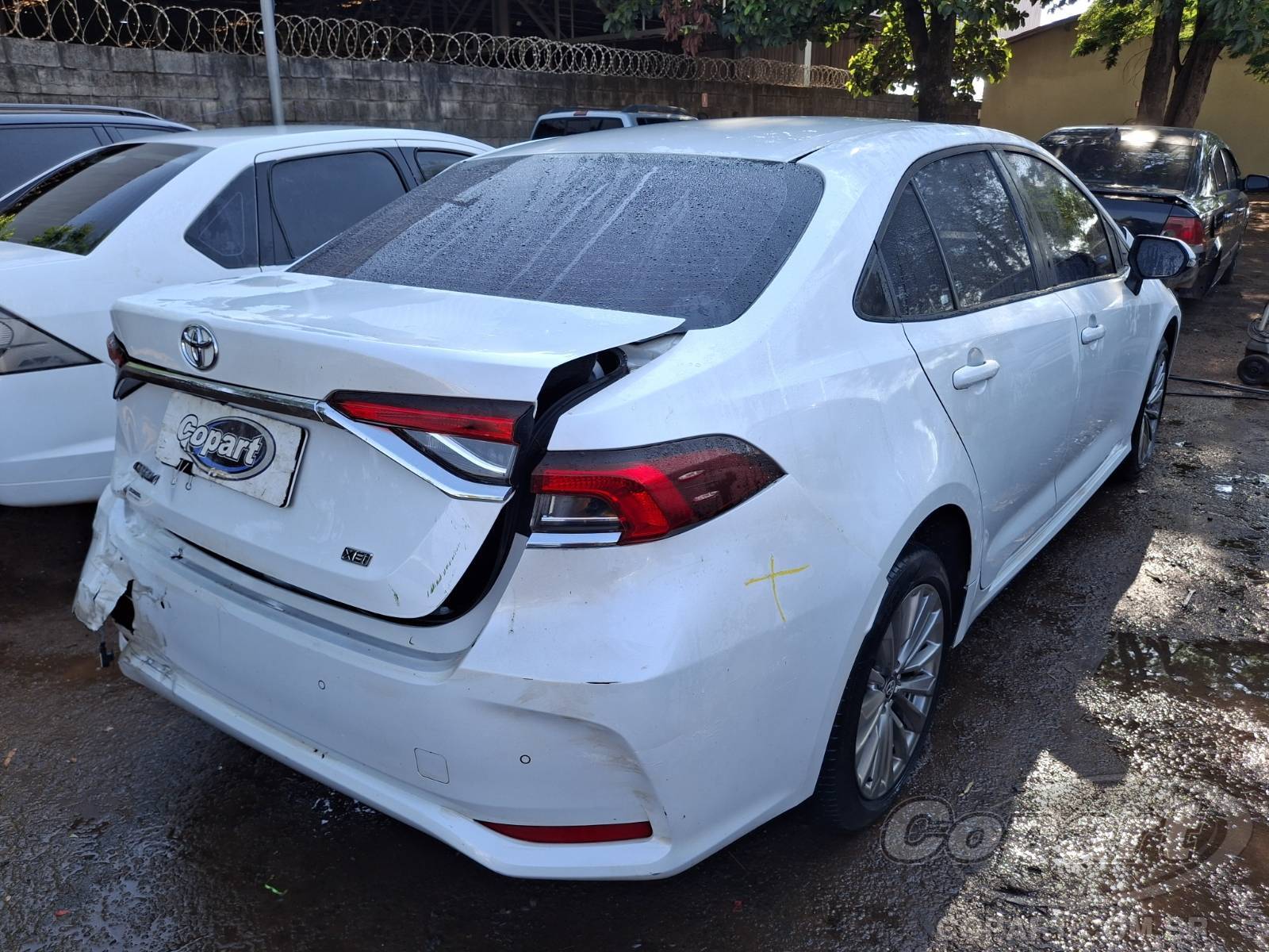 Foto 4: 2024 TOYOTA COROLLA
