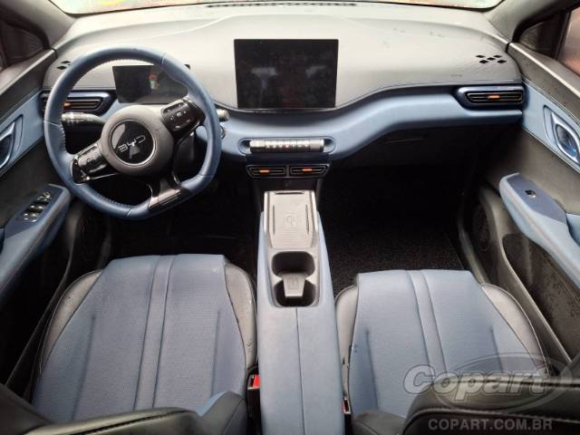 2025 BYD DOLPHIN MINI 