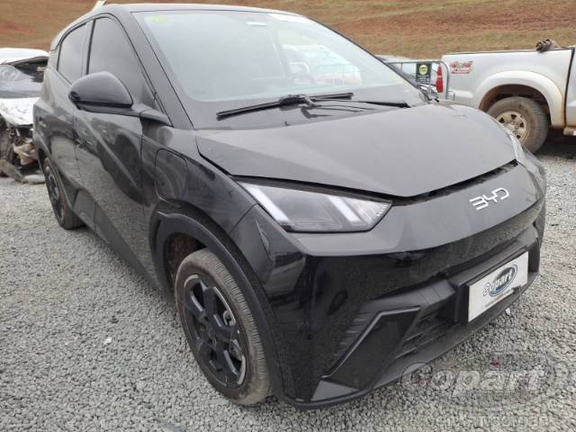 2025 BYD DOLPHIN MINI 