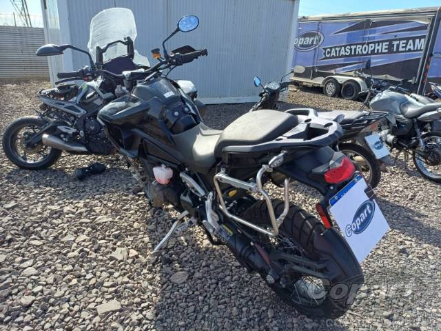 2026 TRIUMPH TIGER 